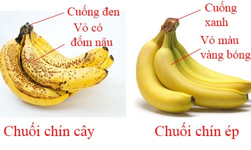 Chuối, mít, sầu riêng... là những loại quả phổ biến và đặc biệt là dễ bị bơm hóa chất ép chín nhất. Chính vì thế bạn cần bổ sung cho mình một số  cách phân biệt quả chín ép và chín cây cực hay sau đây. Ảnh: Vietnamnet.